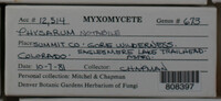 Image Associated With the Occurence
